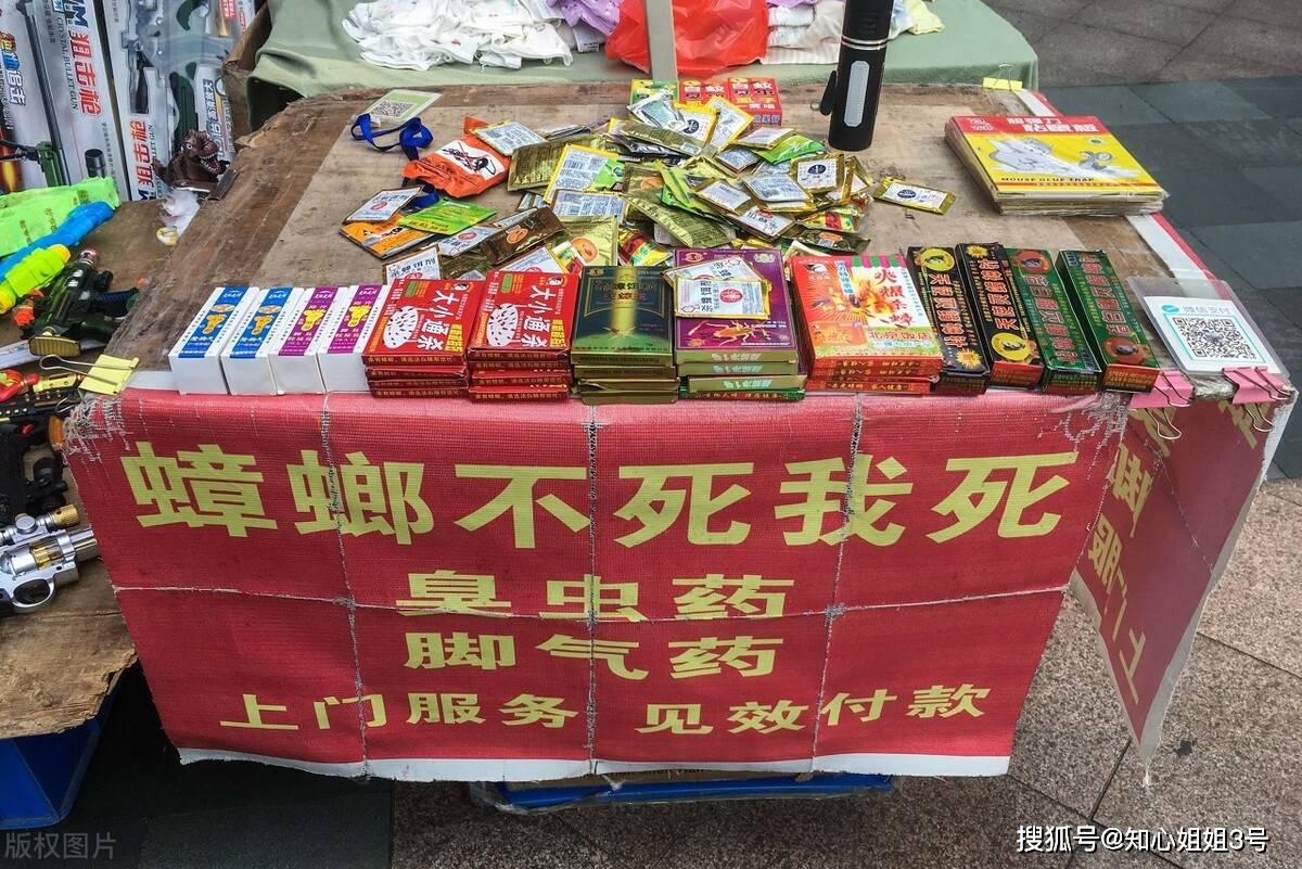 原创深圳的蟑螂为什么这么聪明打不死灭不完的小强感觉成精了一样