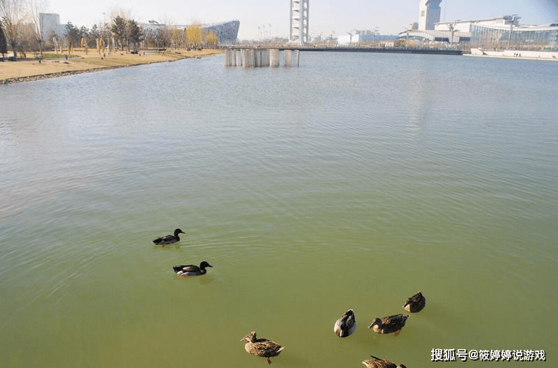 原创郑州人工湖被点名,那在建的小浪底引水工程,会因此取消吗?