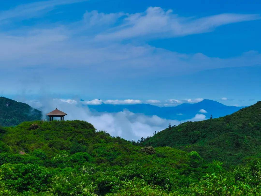 云海波涛山峦似岛,围山静坐意在无忧_大围山