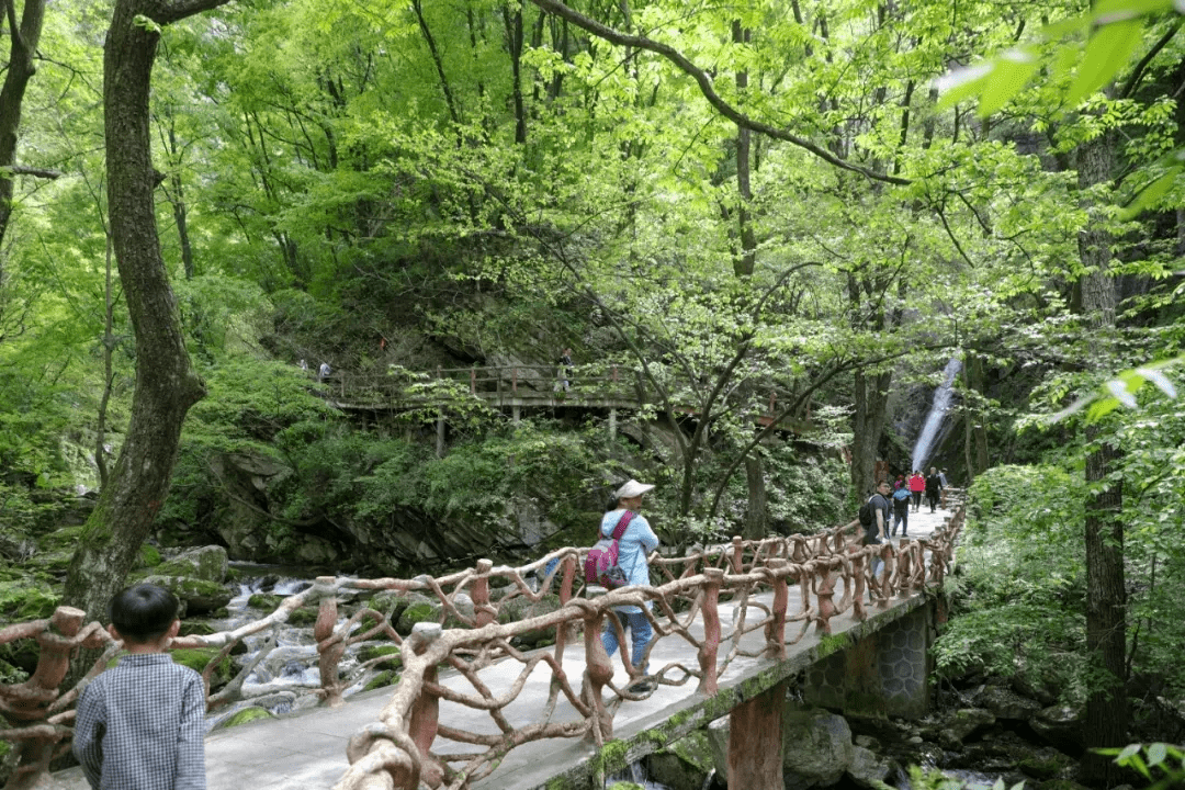 5.19中国旅游日|太平国家森林公园抽"门票满60减30",一起纵情山水间