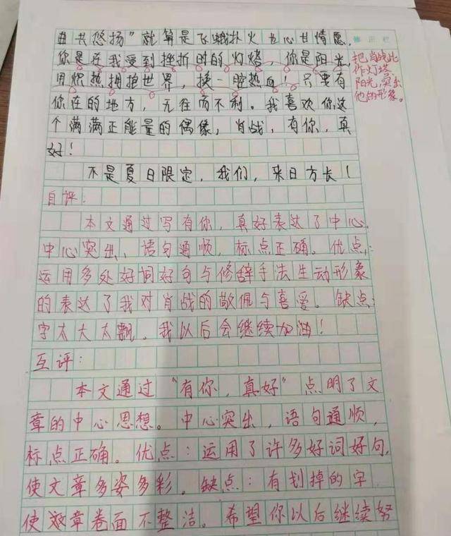 学生作文《肖战,有你真好》别出心裁,网友:第一次赞成