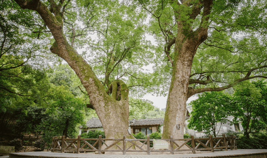 方家河头村