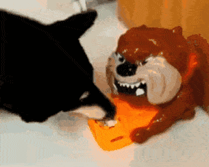 狗狗:你的良心不会痛吗? 铲屎官:哦不,我没有良心啊!