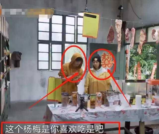 杨紫张艺兴是捆绑炒作"艺辈紫"cp吗?难道仅仅是巧合吗