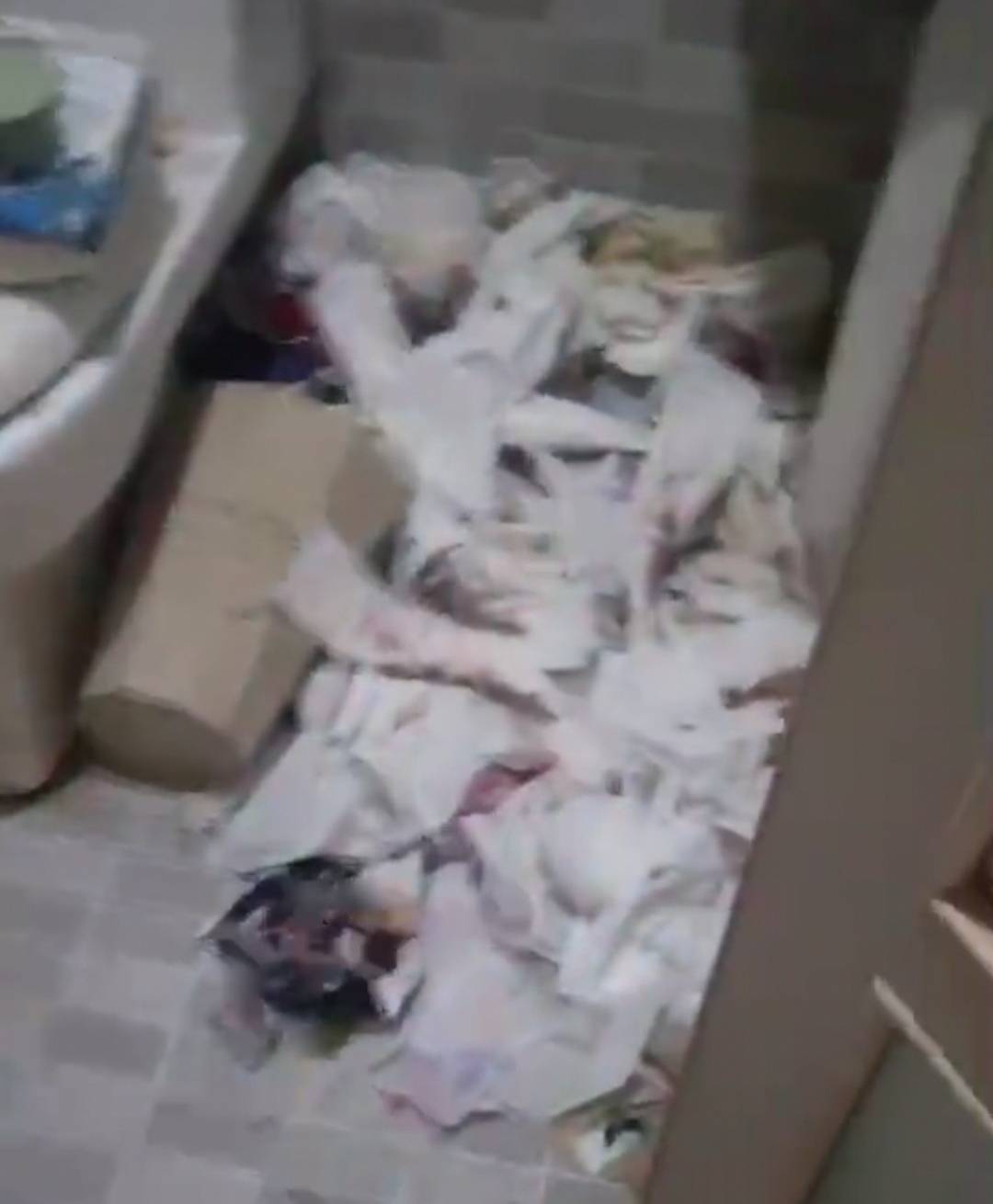 原创哈尔滨美女租户把房子住成了垃圾站,用过的卫生巾扔满了卫生间