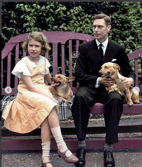 英国女王的最后一只柯基犬去世了,她真是一辈子都好爱狗狗啊!