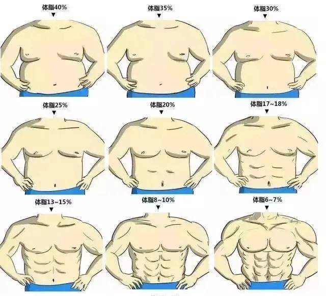 一般男性体脂率控制在15%以下就可以看到腹肌轮廓 二,训练动作单一