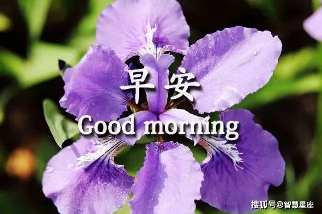 5月23日天气炎热新版,亲们早安动态图片问候:生活在于