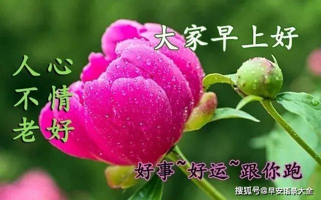 2021早安风景图片,2021最新款早安图片 原创2021清晨新版风景早安问候图片 朋友圈最美早安祝福语图片合集
