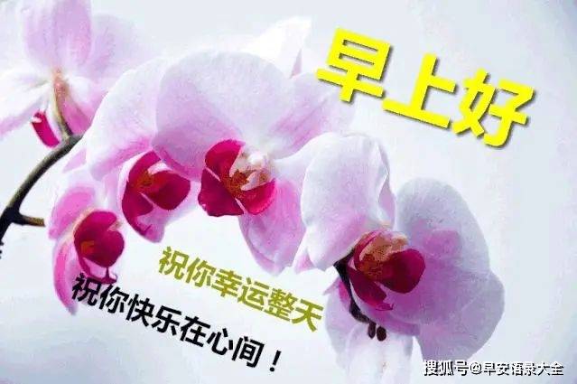 6月4日星期五清晨早上好图片温馨句子 周四特别好看的