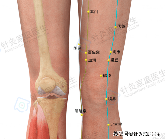 第四步:两只手同时拍打两个膝盖(鹤顶穴,血海穴)20下.