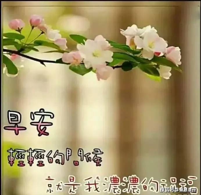 6月8日清早最美早上好问候祝福动态表情图片,清晨早安