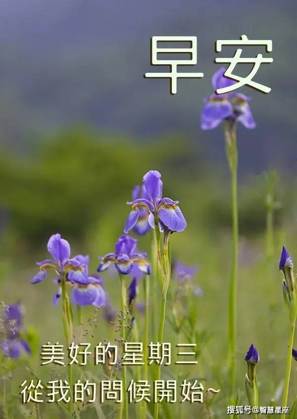 2021年6月9日星期三清晨早上好问候祝福动态表情图片