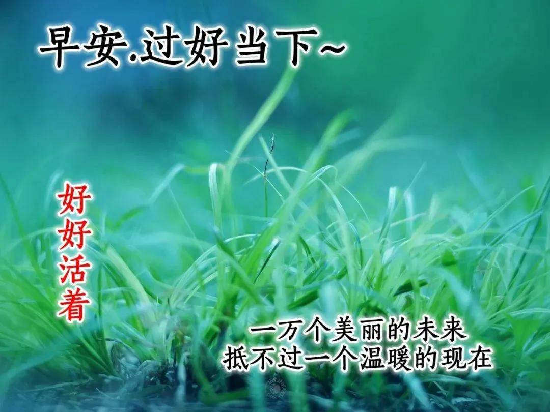 原创2021年下半年早上好温馨祝福词句,早安真诚的祝福图片