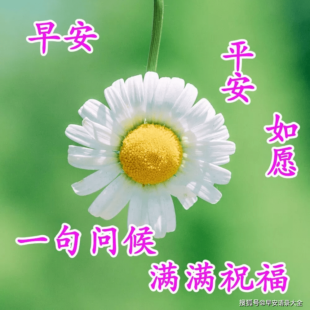 2021年6月11日星期五清晨早上好问候语图片 周五最新早安问候祝福图片