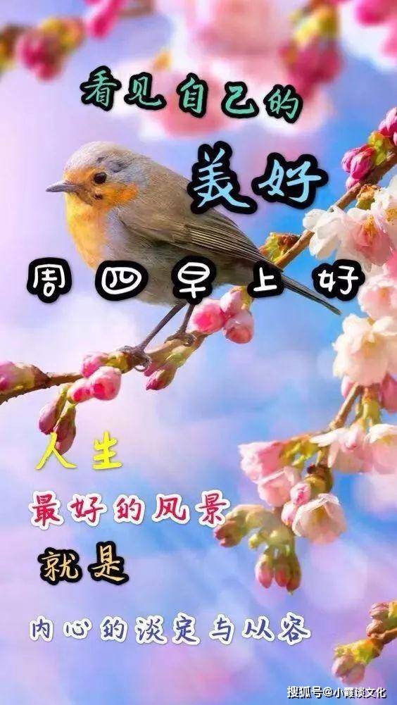 原创星期四早上好唯美祝福短句配图,祝你开心快乐每一天!
