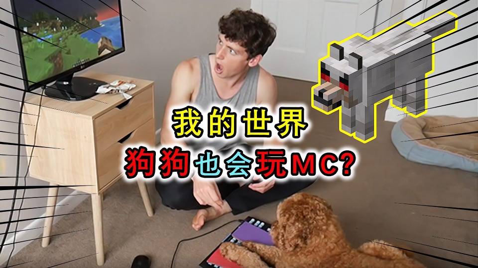 原创狗的世界:在mc里养了一条狼,还击败了末影龙!