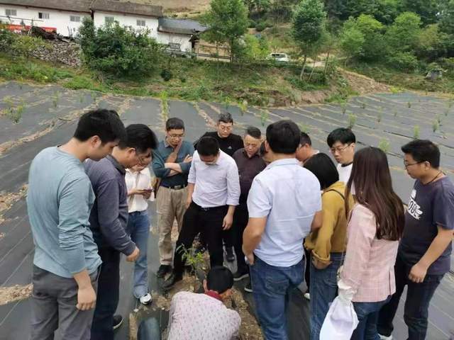 兴山县南阳镇:搭建平台聚合力,凝聚人才促发展