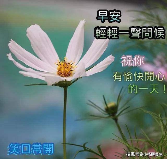 早上好,来个笑,早餐吃好身体好,精神饱满赚钞票,祝你事业芝麻开花