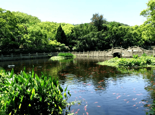 南海观世音菩萨普陀山紫竹林,它,原来是在这里拍摄的!
