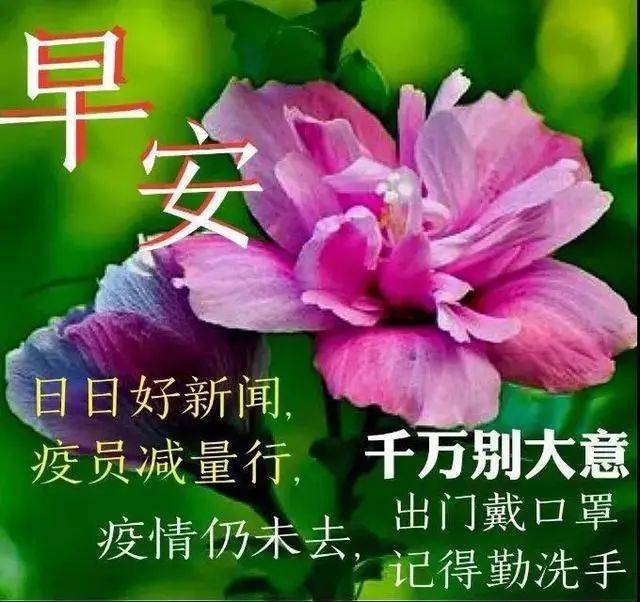 创意唯美的早安早上好图片带祝福语 清晨朋友圈早安问候语图片文字