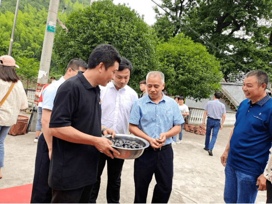 当天,遂昌县政协副主席周黎平莅临横坑村"深山紫土豆