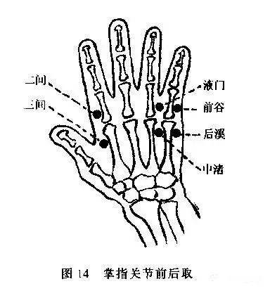 这跟它所在的这条三焦经的性质有关,三焦经是排气的,人气多了会上火