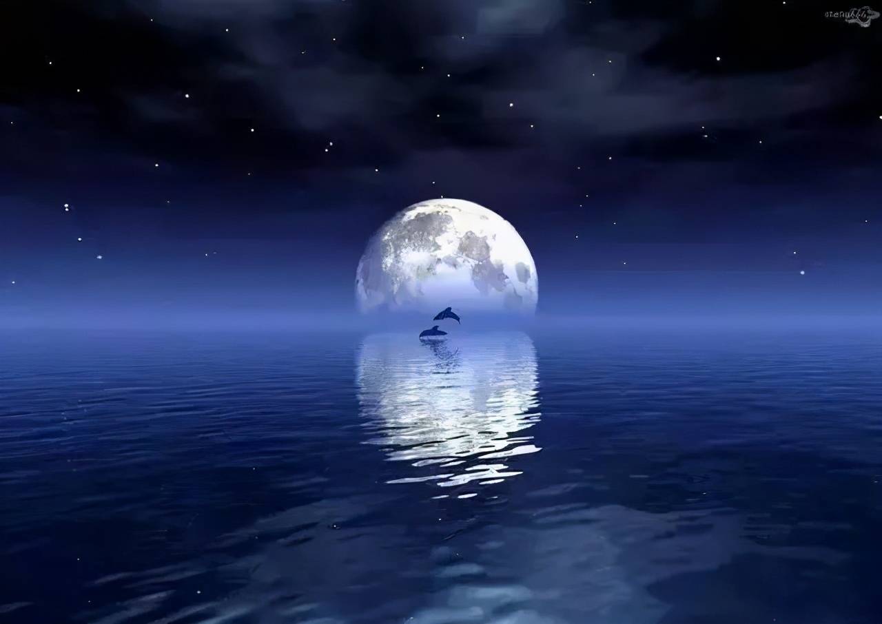 【二十四品新解】海雨天风,月映万川,徐渭的书法与沉着