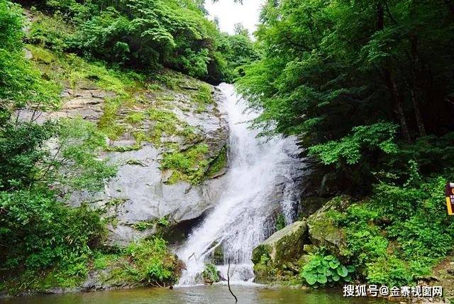 金寨马鬃岭的夏天!