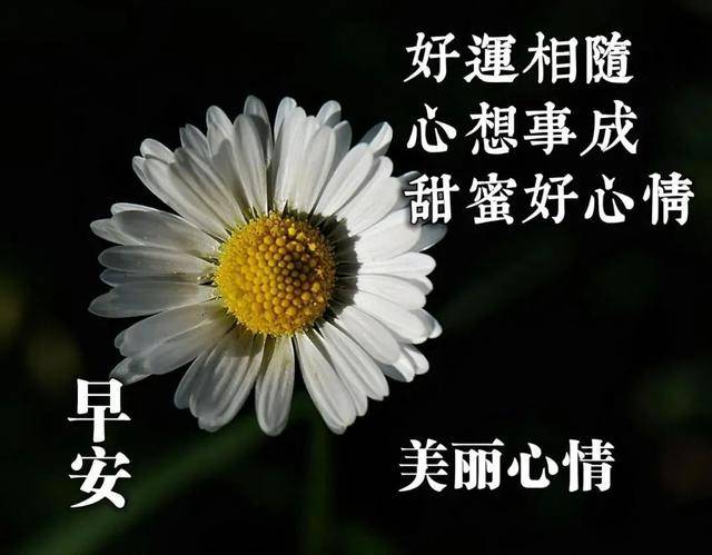 清晨幸福很暖心祝福语图片带字 好看的温馨的早上好图片