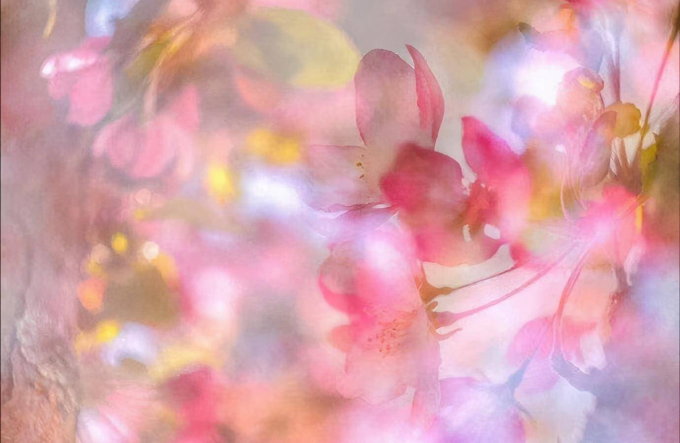 原创2021顺其自然一切都是最好的安排