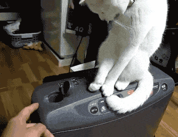 搞笑gif动图,朋友说他发明了永动机,我要不要入一股!