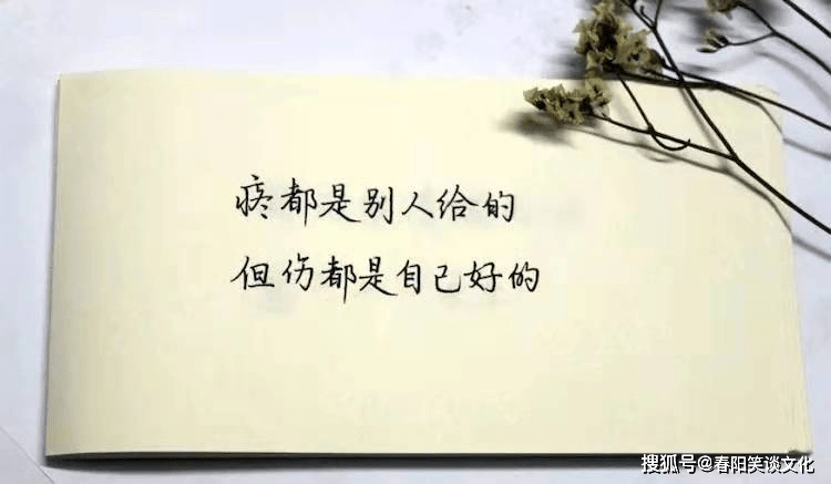 冷漠高傲的个性签名,清新透彻,洒脱不羁爱自由