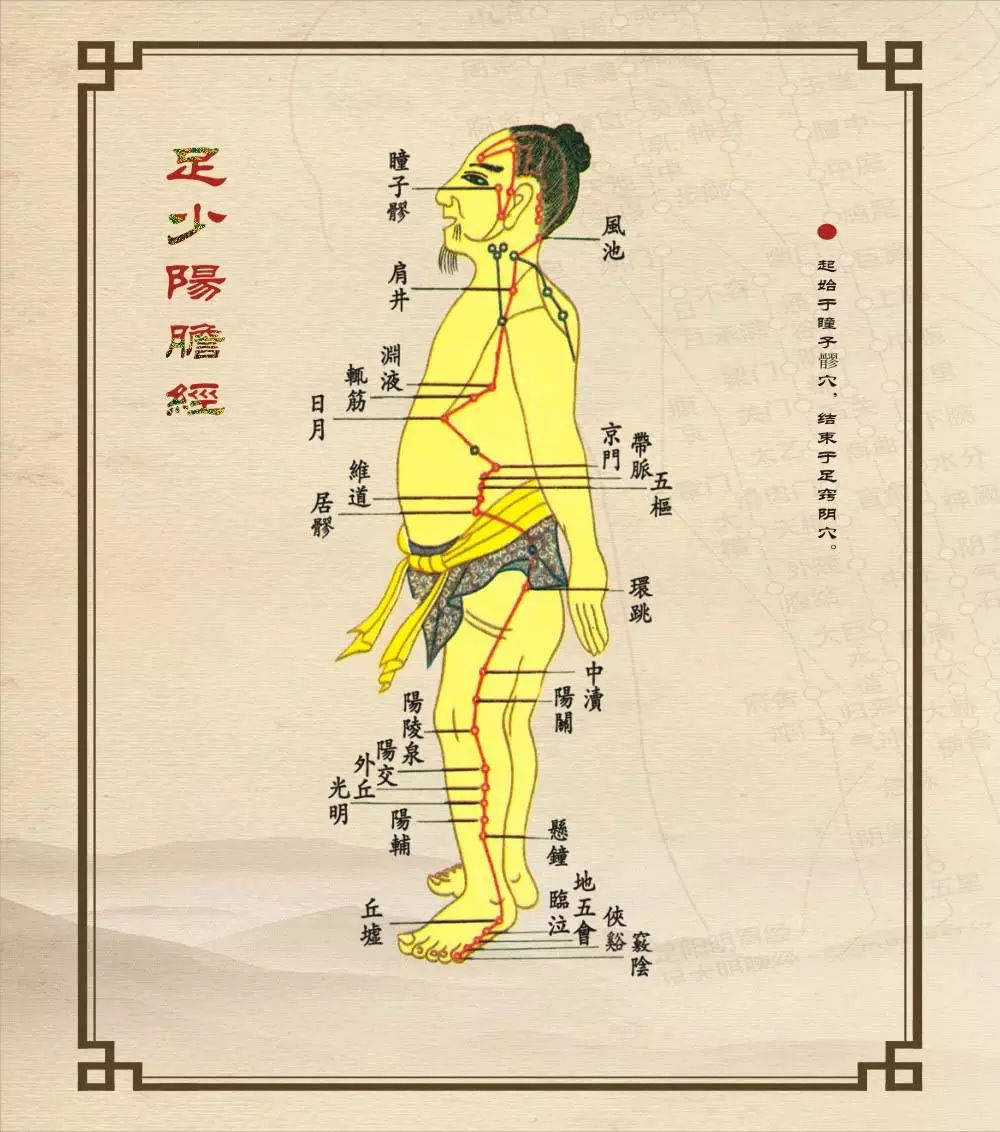 原创黄帝内经中的精彩论述到底是肾主骨还是少阳主骨以及实际的应用