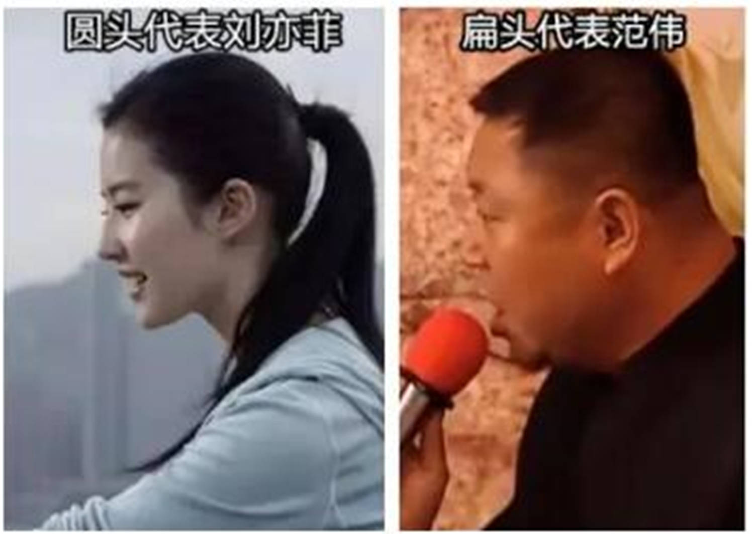 原创杜淳谈给女儿睡头型令老人们执着的扁头审美终于慢慢回归正常了