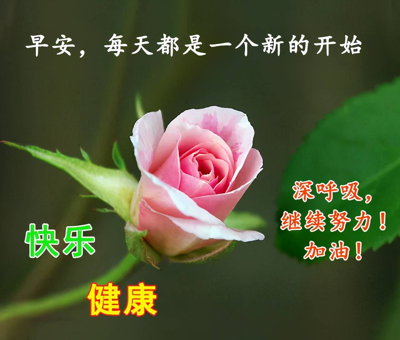 祝福早安动态图 夏天早安发朋友圈祝福图片