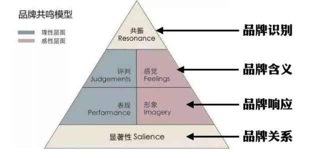 品牌资产金字塔模型:小米与锤子品牌建立的不同路径