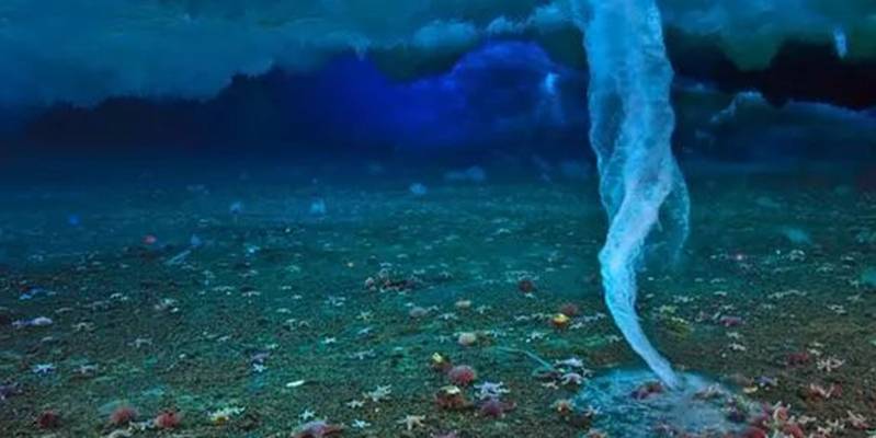 原创海底最恐怖的杀手,是南极的死亡冰柱,所到之处无一海洋生物生存