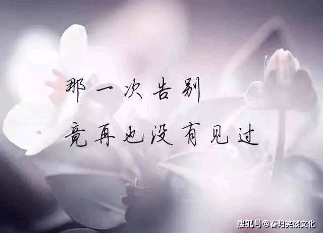 伤感扎心的一句话,句句戳心入肺,送给压抑憋屈的你