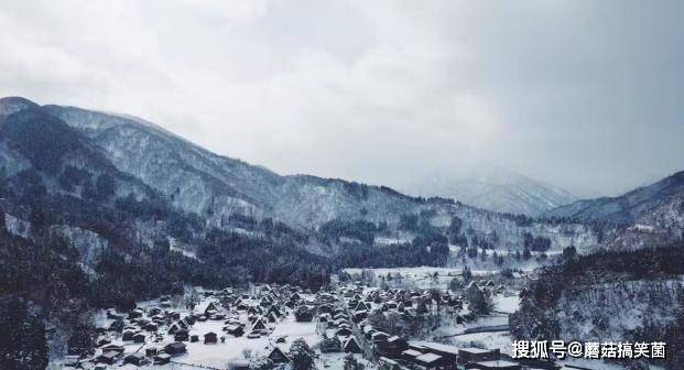 东北雪乡宰客, 但日本这座雪乡闻名世界, 却不曾宰过一位游客