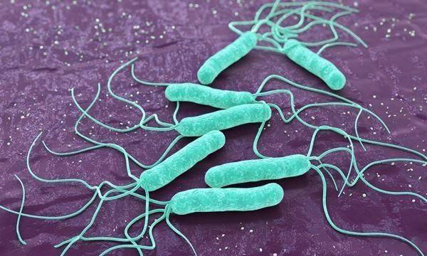 这种细菌可能导致胃癌,一半中国人都感染了!