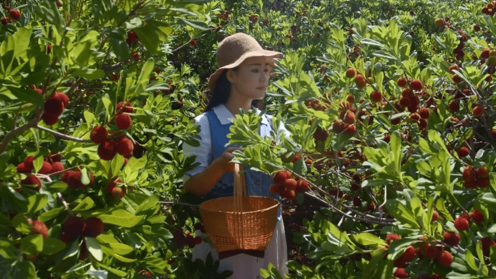 滇西小哥也翻车?疑虐待野生动物摆拍作秀,嘴硬删博拒绝道歉