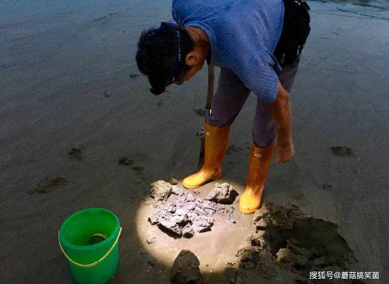 由于临近黑夜,需要用头顶上的灯照明才能在沙子中找到沙虫.