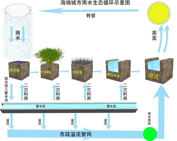 它的吸收性,蓄水,渗水,净水等功能,使城市像海绵一样具有"弹性",以