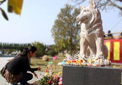 原创义犬为救30人以身尝毒牺牲,百人含泪送别,陵园花4万为其建雕像