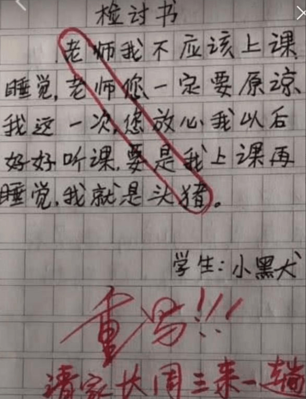 小学生检讨书走红,看似态度诚恳实则暗藏深机,老师看后哭笑不得