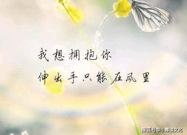 心好累了的爱情伤感说说,看了心酸,深爱过的人才会懂