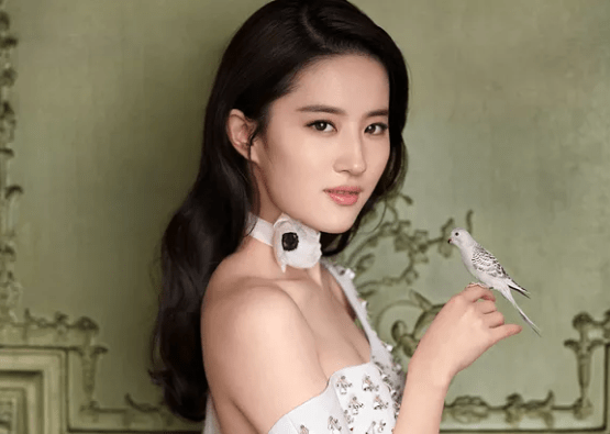 中国女明星排行榜2021,中国女明星排行榜 2019中国女星颜值排行榜出炉,刘亦菲稳居第一,杨幂跌至第四名?
