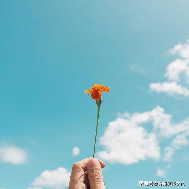 一定要对生活充满希望的句子,每日一读,豁达一生!