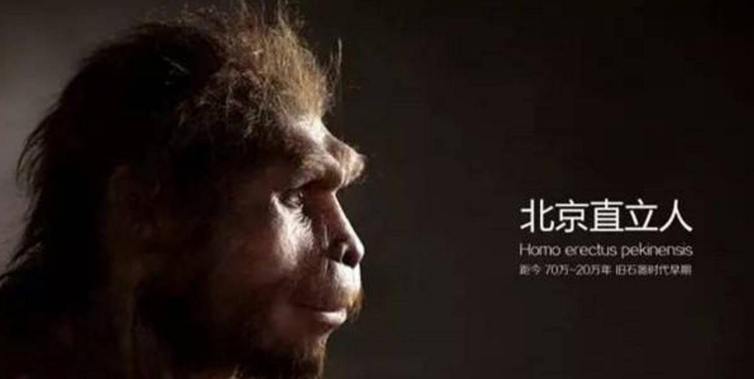 原创真正的人类祖先出现于4万年前,咱们并不是"北京猿人"的后代